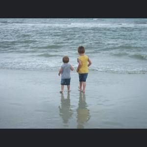 Meet your Posher, Brock